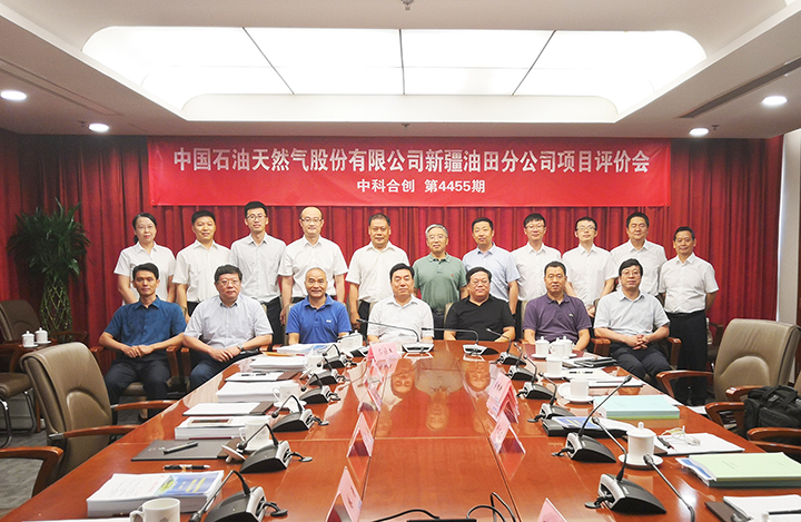 中国石油天然气股份有限公司新疆油田分公司2个项目 anli.jpg